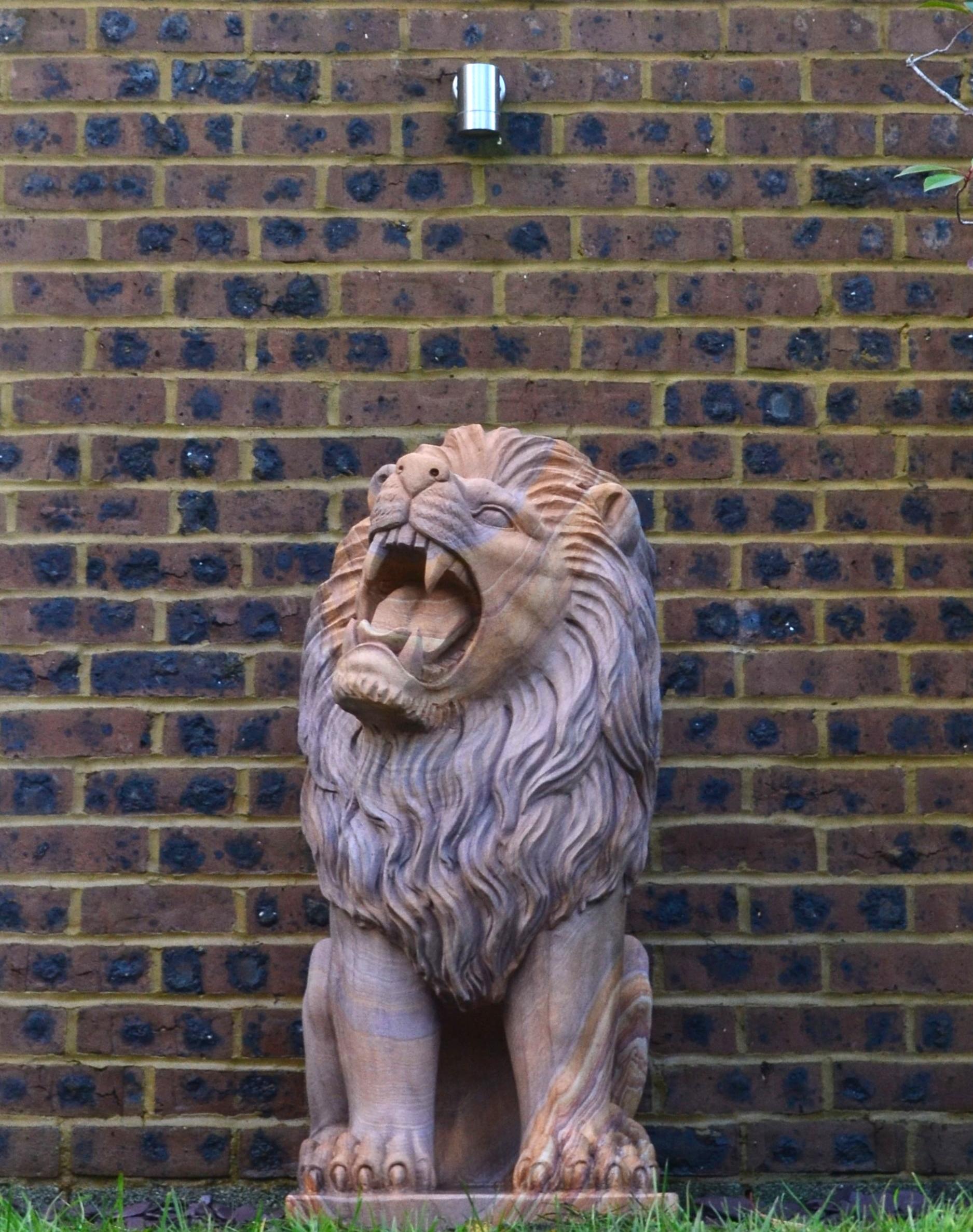 The Lion